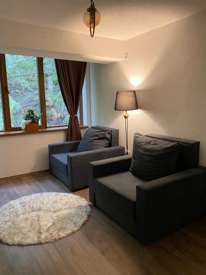 Hotel Neda Galichnik Galicnik Dış mekan fotoğraf